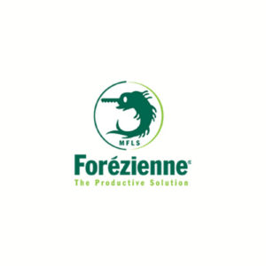 Rubans - MFLS Forezienne